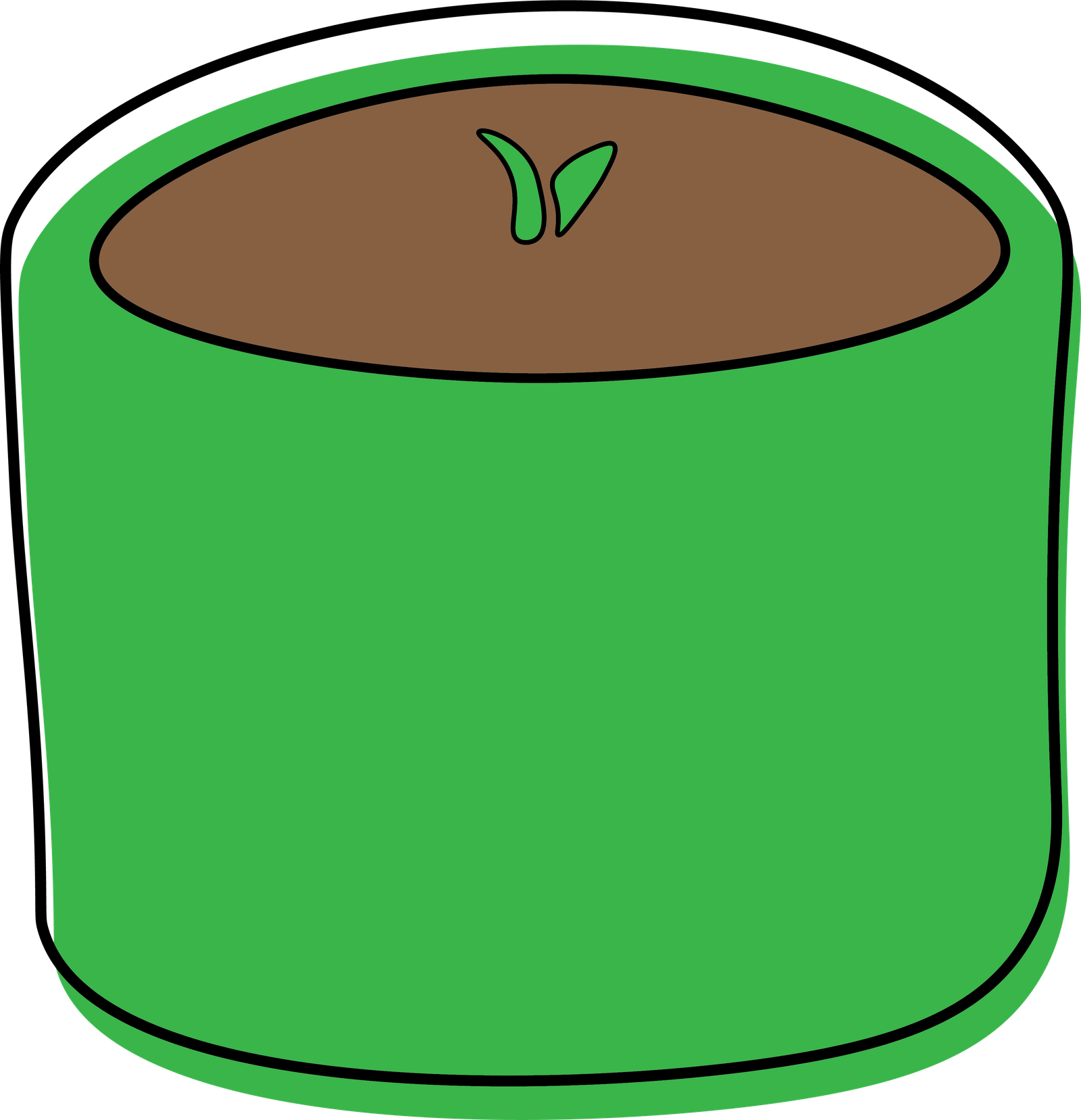 Plant Image